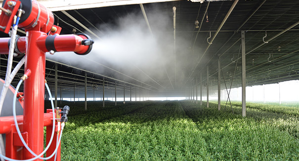 showcasing pulsFOG cold Fogger TracFOG 400F in a greenhouse